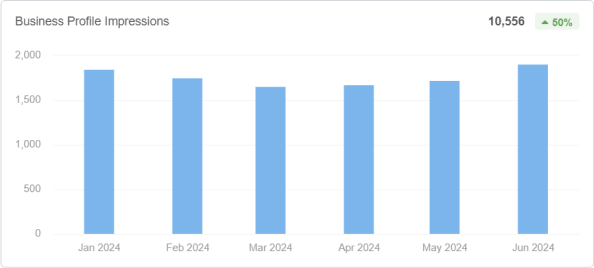 Business Profile Impressions (1)